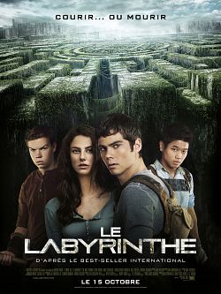 Le Labyrinthe TRUEFRENCH HDLight 1080p 2014