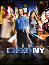 Les Experts : Manhattan S08E01 FRENCH HDTV
