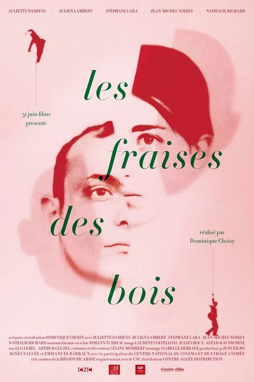 Les fraises des bois TRUEFRENCH DVDRIP 2012