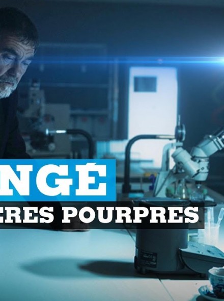Les Rivières Pourpres S01E07 FRENCH HDTV