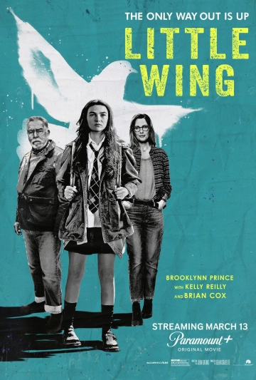 Little Wing FRENCH WEBRIP 720p 2024