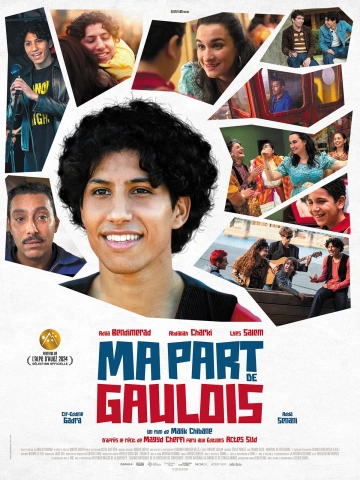 Ma part de Gaulois FRENCH WEBRIP 720p 2024 FRENCH WEBRIP 720p 2024