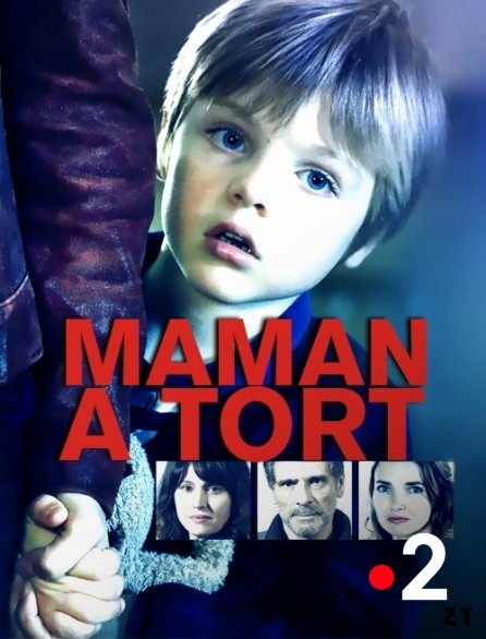 Maman a tort Saison 1 FRENCH HDTV