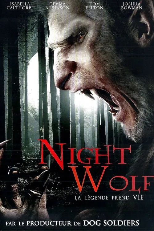 Night Wolf - 13 Hrs TRUEFRENCH DVDRIP 2010