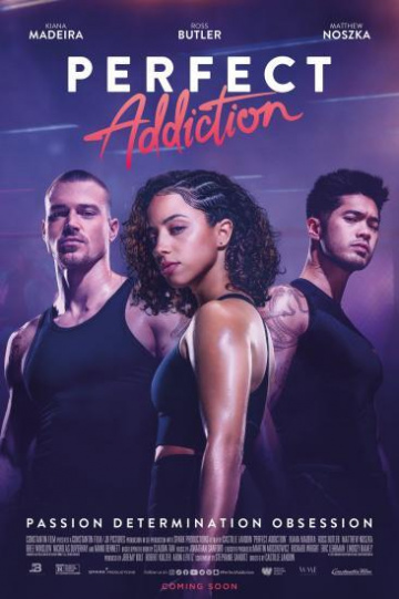 Perfect Addiction FRENCH WEBRIP 720p 2023