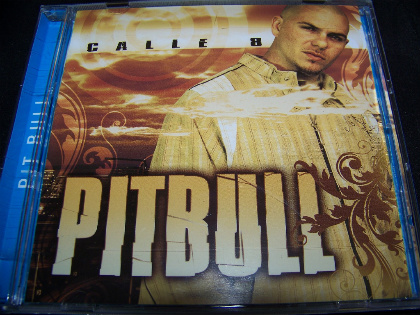 Pitbull Call Ocho Bootleg (2009)