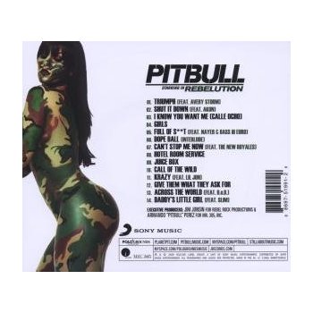 Pitbull - Rebelution [2009]