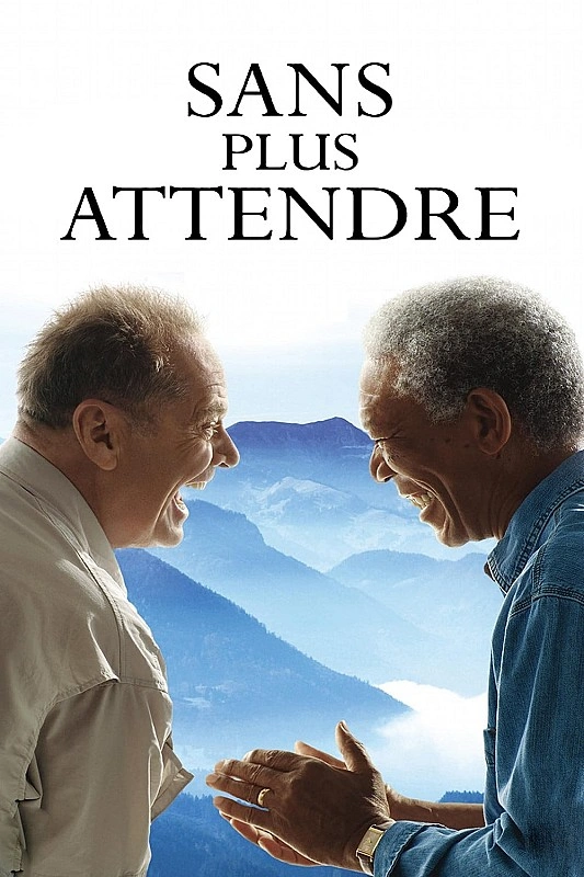 Sans plus attendre - The Bucket List TRUEFRENCH DVDRIP 2008