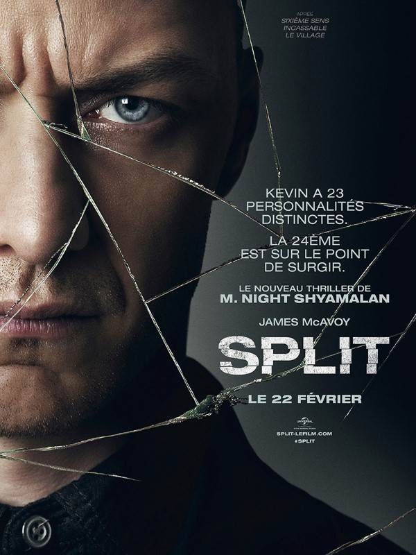 Split VOSTFR DVDRIP x264 2017