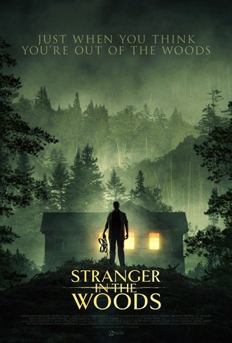 Stranger in the Woods (FRENCH) WEBRIP LD 720p 2024