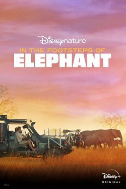Sur la route des éléphants FRENCH WEBRIP 720p 2021