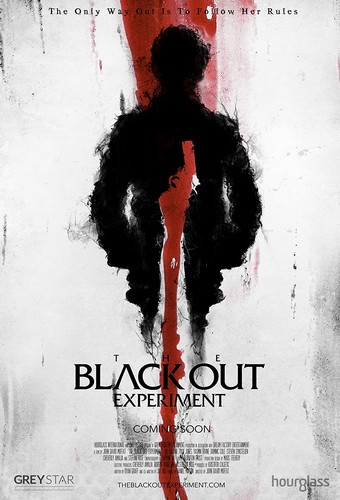 The Blackout Experiment FRENCH WEBRIP LD 2021