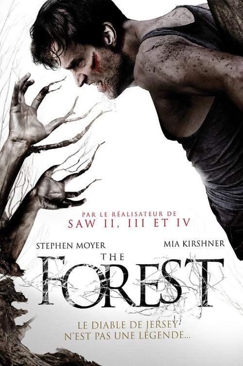 The Forest - The Barrens MULTI TRUEFRENCH HDLight 1080p 2012