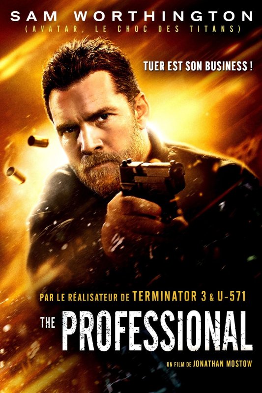 The Professional FRENCH DVDRIP 2017