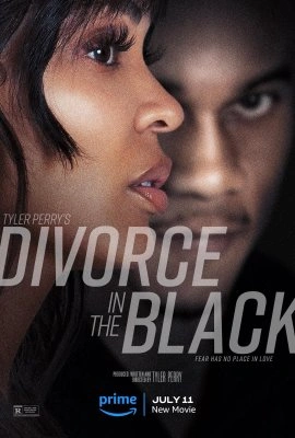 Tyler Perry's Divorce in the Black TRUEFRENCH WEBRIP 2024