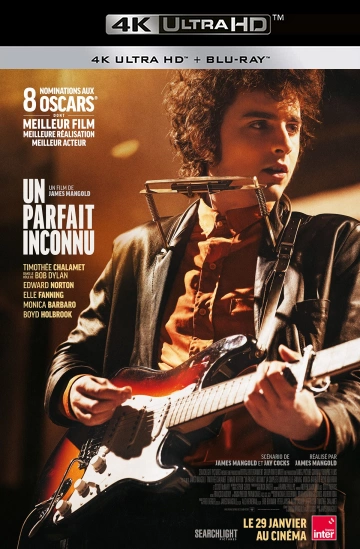 Un parfait inconnu - A Complete Unkknown MULTI TRUEFRENCH ULTRA HD 4K x265 2024