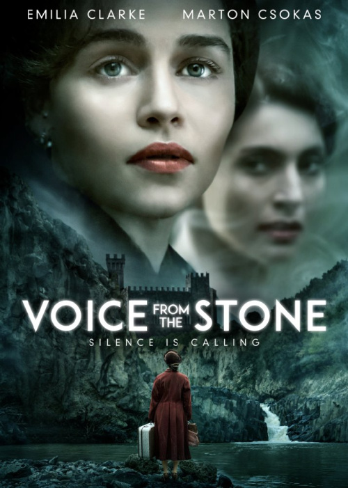 Voice From the Stone FRENCH BluRay 720p 2017
