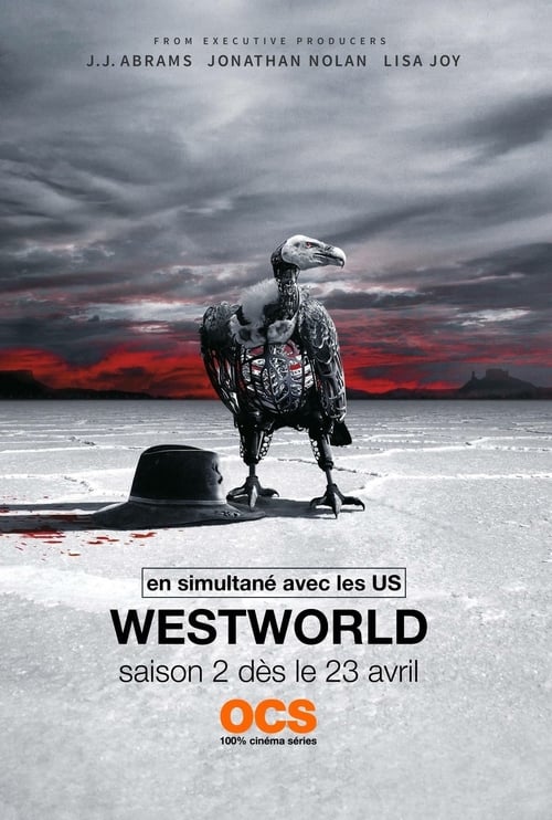Westworld S02E05 FRENCH BluRay 720p HDTV