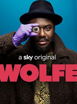 Wolfe S01E01 FRENCH HDTV
